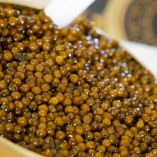 All Caviar Comes From Farmed Sturgeon.