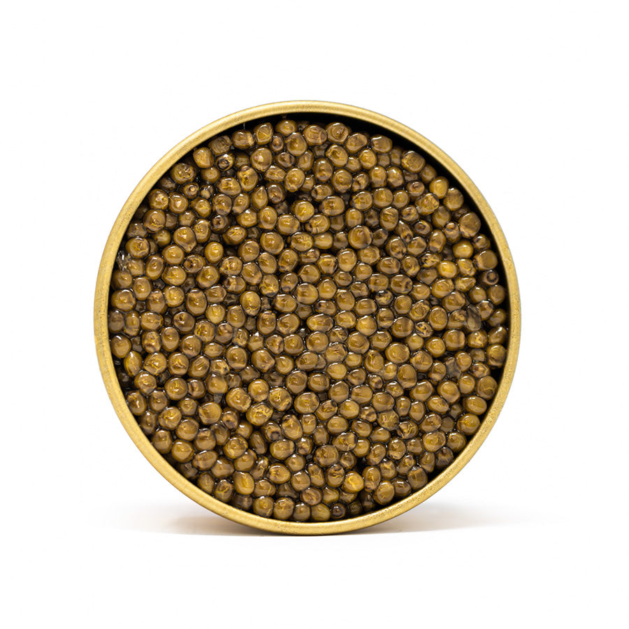 Reserve Golden Kaluga Hybrid Caviar - Dorasti Caviar
