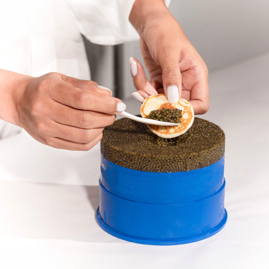 Caviar Party Kit