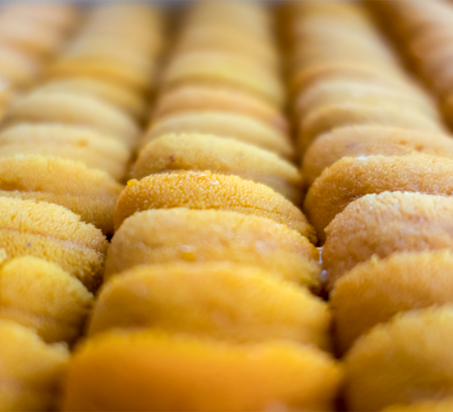 hokkaido uni zoomed in photo with a nice yellow color