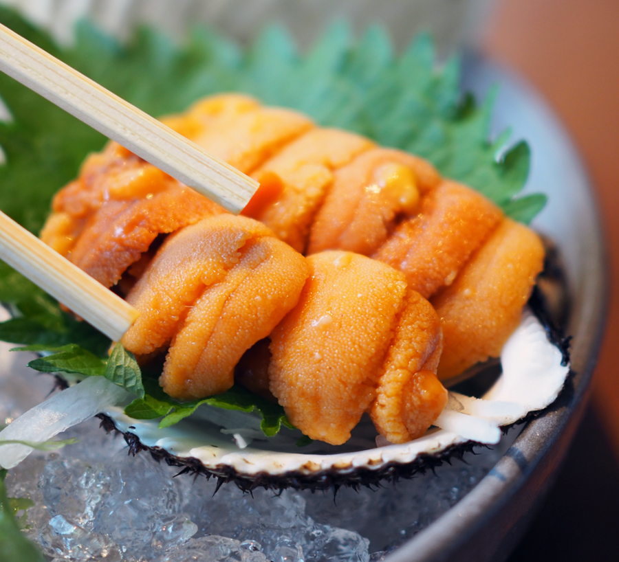 Hokkaido Uni  in a sea shell with a sushi setting being picked up by chop sticks