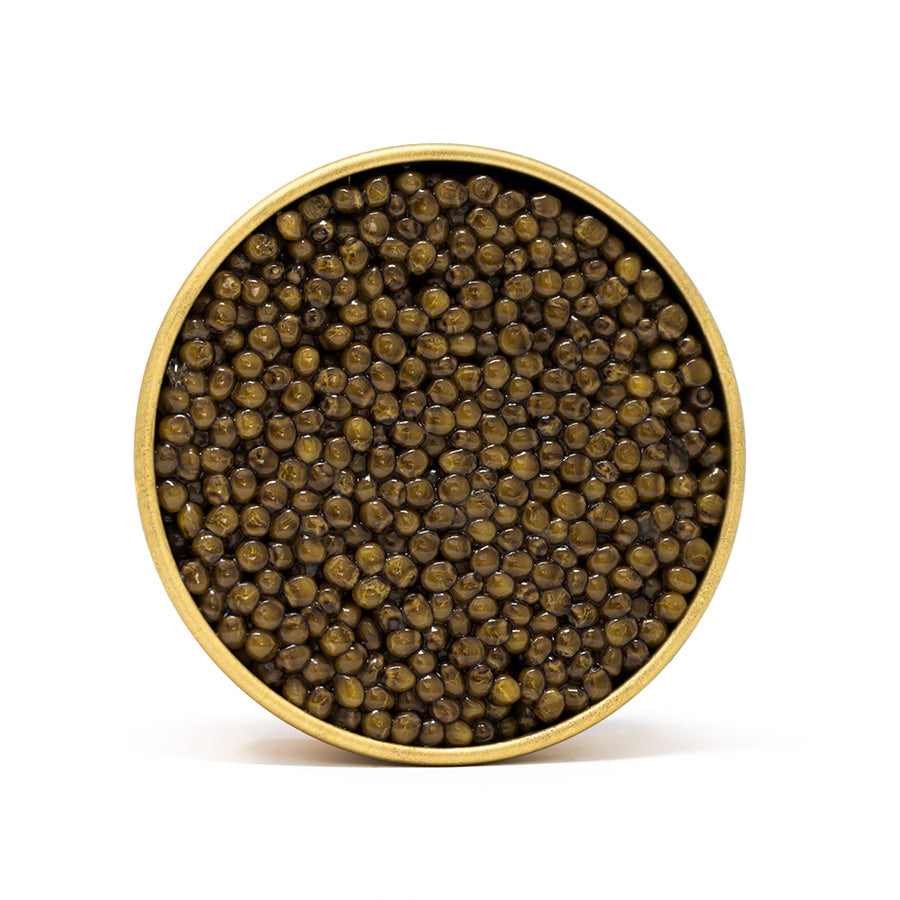 Fresh caviar in a golden tin
