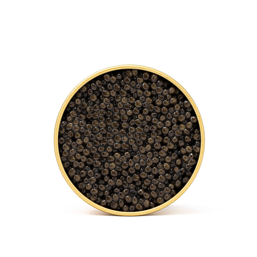Caviar & Uni Pasta Kit - Dorasti Caviar