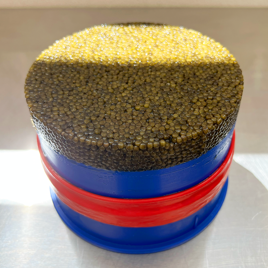 Kaluga Hybrid Caviar 1.1 Kilo  (2.4 lbs) Big Blue Tin.